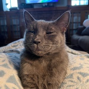 Meet your Posher, Nadirah